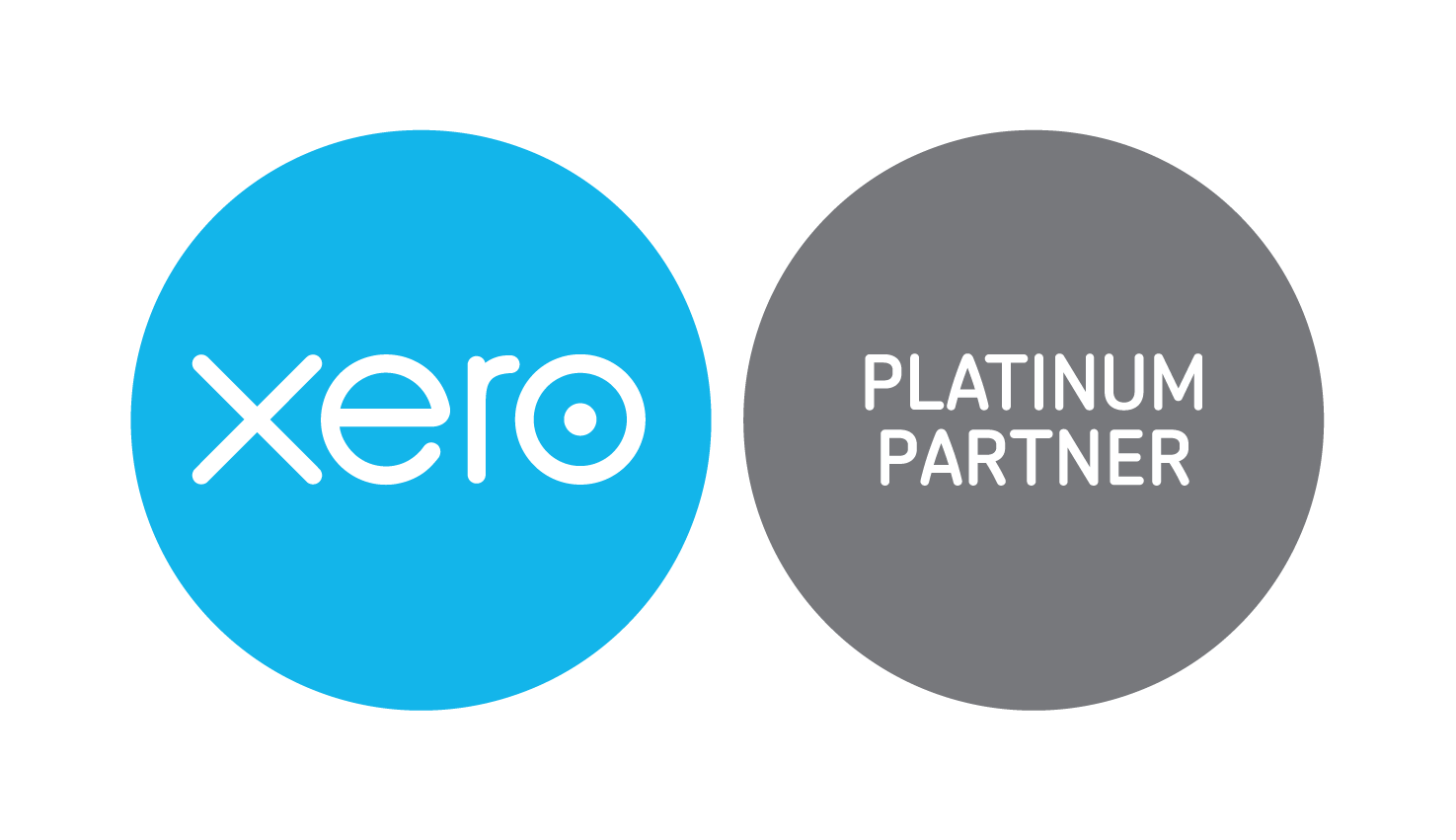 xero platinum partner